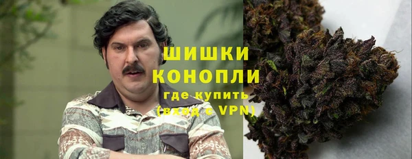 амф Пересвет