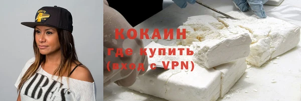 тгк Пестово