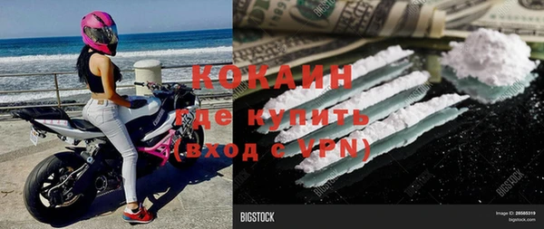 тгк Пестово
