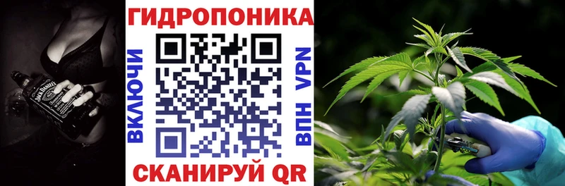 Бошки Шишки конопля Сковородино